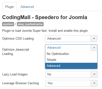 Speed plugin basic options